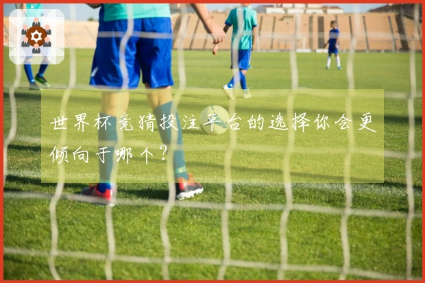 世界杯竞猜投注平台的选择你会更倾向于哪个？