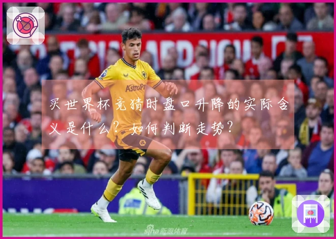 买世界杯竞猜时盘口升降的实际含义是什么？如何判断走势？