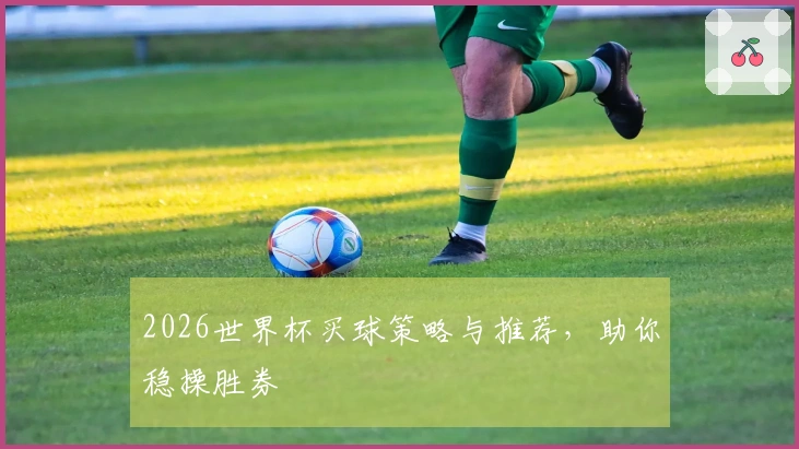 2026世界杯买球策略与推荐，助你稳操胜券