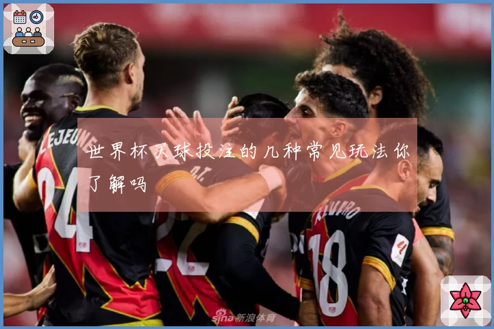 世界杯买球投注的几种常见玩法你了解吗