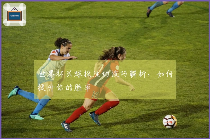 世界杯买球投注的技巧解析，如何提升你的胜率