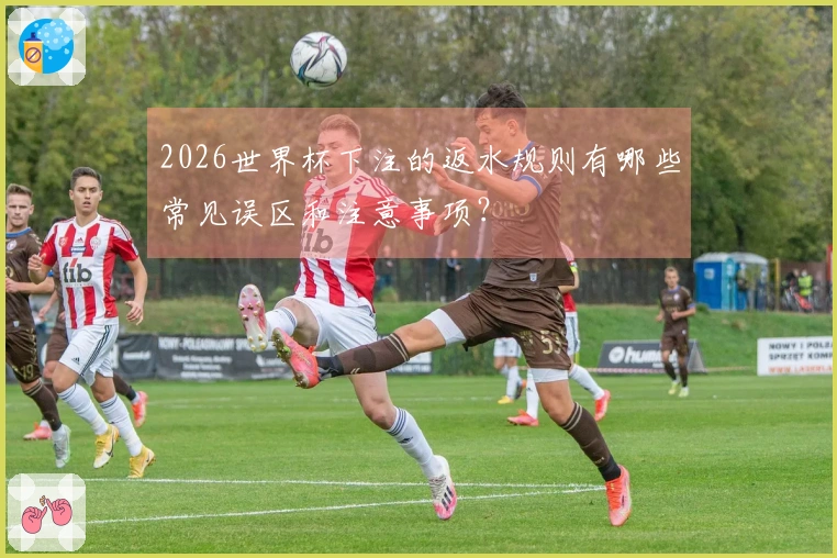 2026世界杯下注的返水规则有哪些常见误区和注意事项？