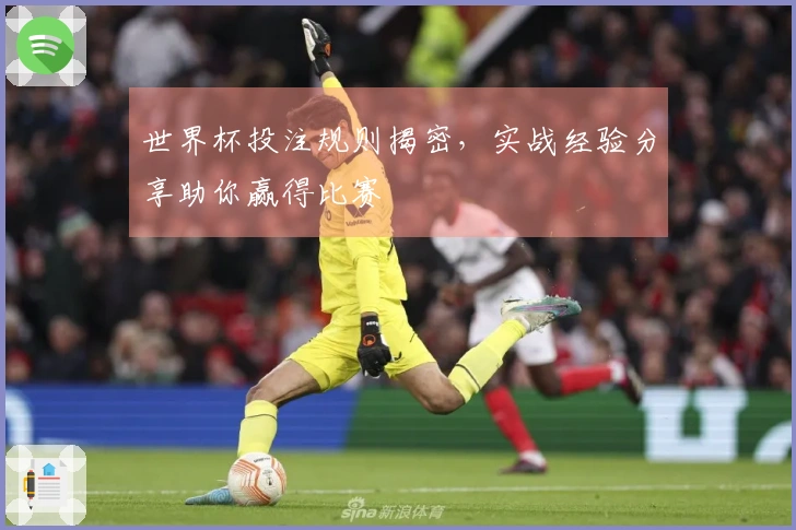 世界杯投注规则揭密，实战经验分享助你赢得比赛