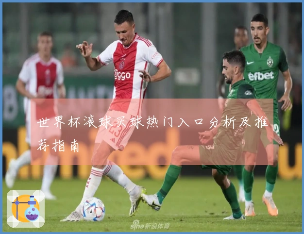 世界杯滚球买球热门入口分析及推荐指南