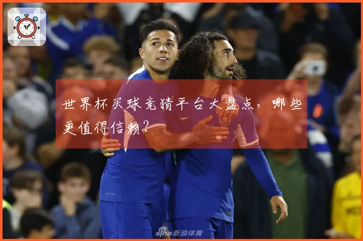 世界杯买球竞猜平台大盘点，哪些更值得信赖？