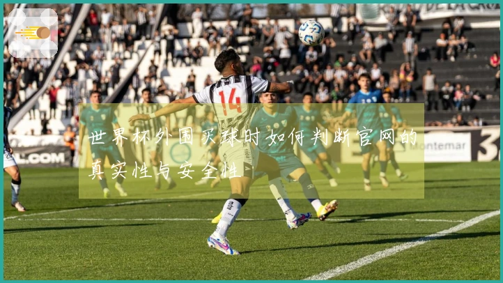 世界杯外围买球时如何判断官网的真实性与安全性