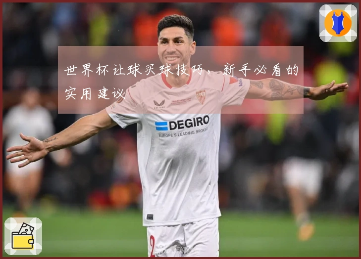 世界杯让球买球技巧，新手必看的实用建议