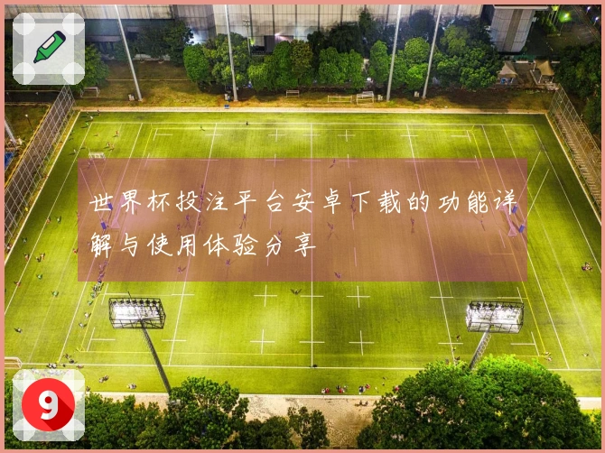世界杯投注平台安卓下载的功能详解与使用体验分享