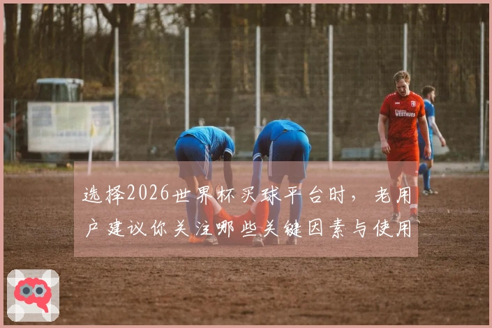选择2026世界杯买球平台时，老用户建议你关注哪些关键因素与使用技巧